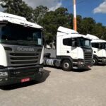 leilao de caminhão online