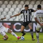 Botafogo x Santos- Onde Assistir ao Vivo no Celular e Horário