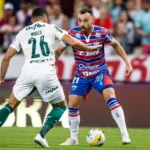 Fortaleza x Palmeiras- Onde Assistir ao Vivo no Celular e Horário