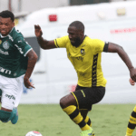 Transmissão de Jogos do Campeonato Paulista – Onde ver ao vivo no celular