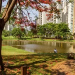 Quer reservar pousada em Goiânia agora?