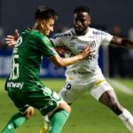 Audax Italiano vs santos